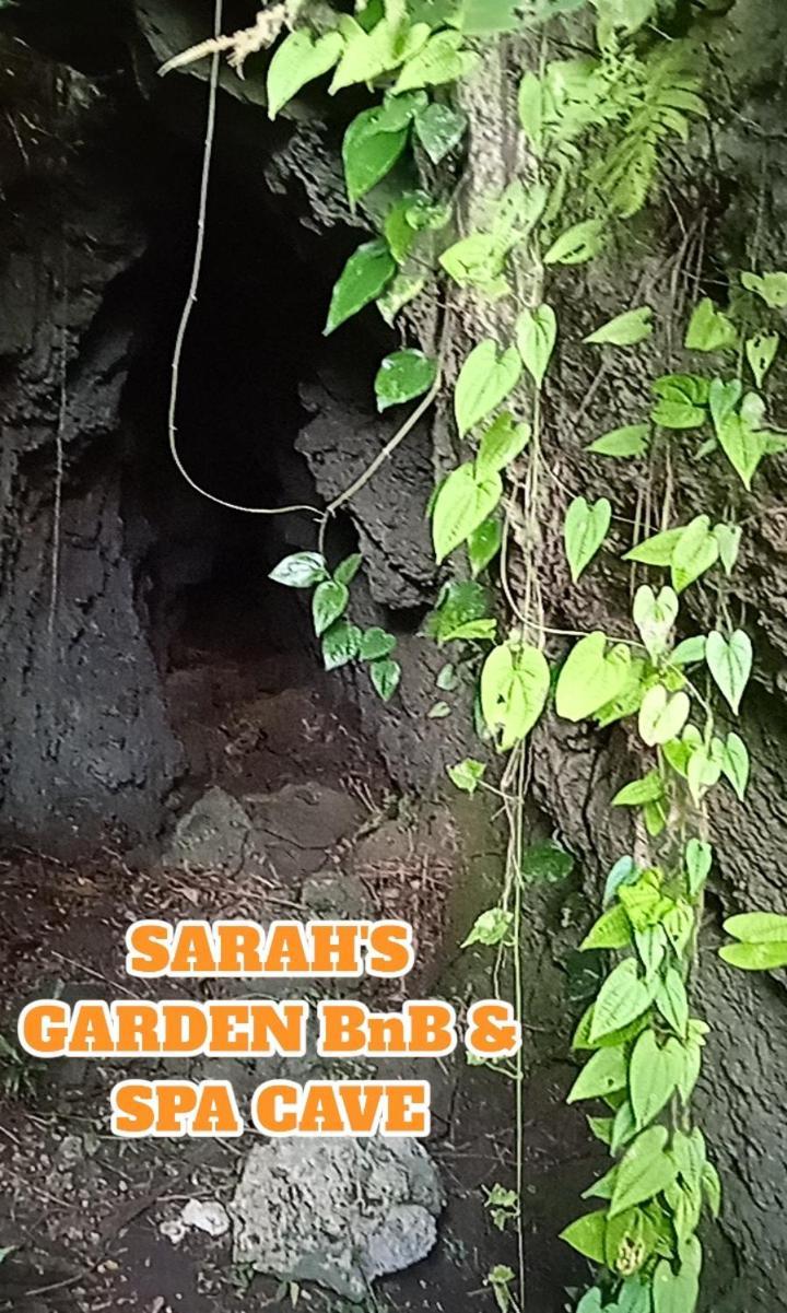 Sarah'S Garden Bnb & Spa Bed & Breakfast Clarin  Eksteriør bilde